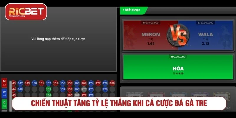 Trải Nghiệm Đấu Trường Đá Gà Tre RICBET Kịch Tính Người chơi nên chia nhỏ vốn khi tham gia cược đá gà tre
