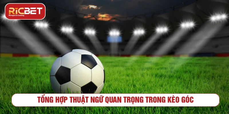 Kèo Góc Và Những Bí Kíp Soi Kèo Hiệu Quả Từ Chuyên Gia Tổng hợp thuật ngữ quan trọng trong kèo góc
