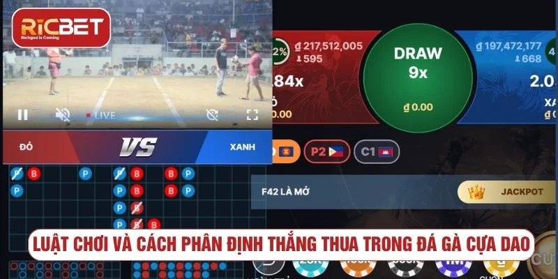 Đá gà cựa dao RICBET - Đỉnh cao kịch tính và chiến thuật Trò chơi có luật lệ minh bạch và rõ ràng